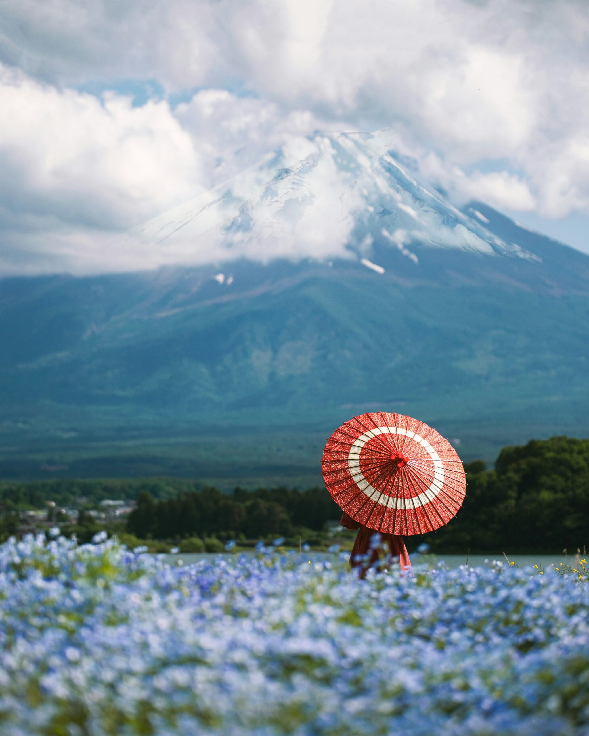 Snowy winter scene near Mount Fuji with a person walking under an umbrella in a field of flowers